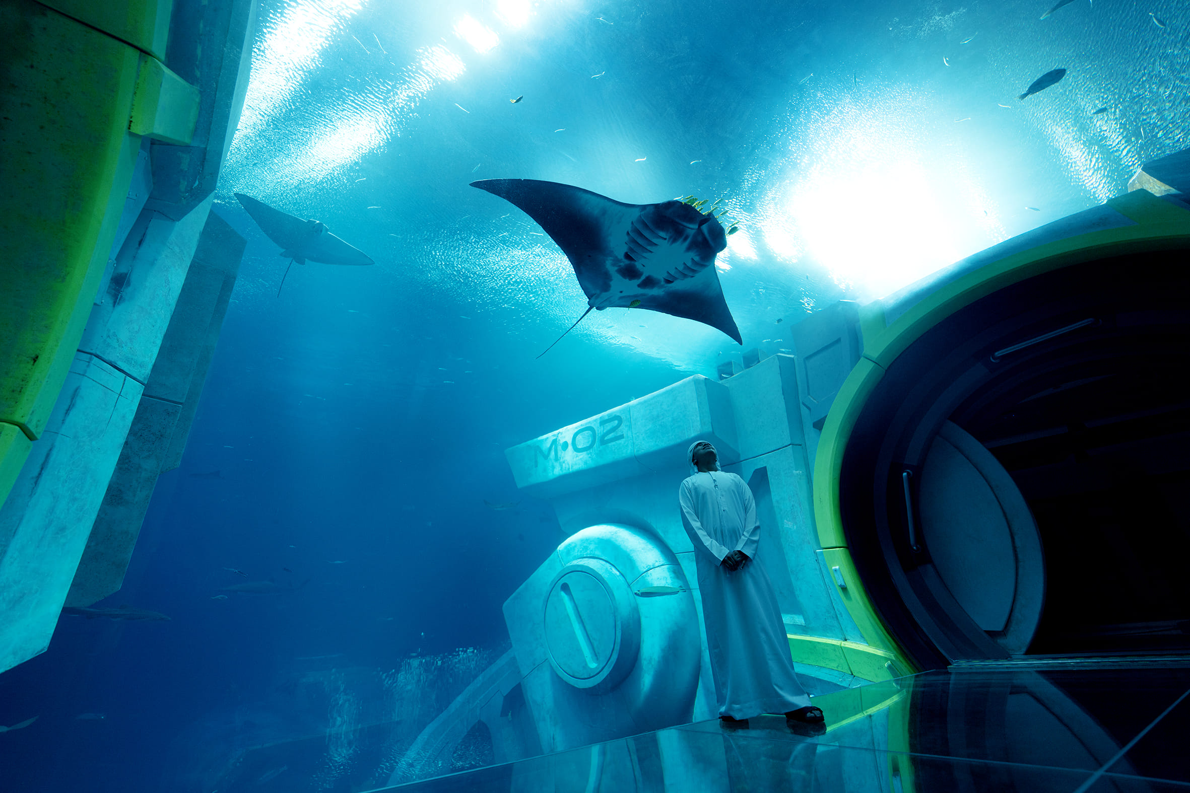 Enchanting Abu Dhabi Trip with Yas Island Sea World & Warner Bros
